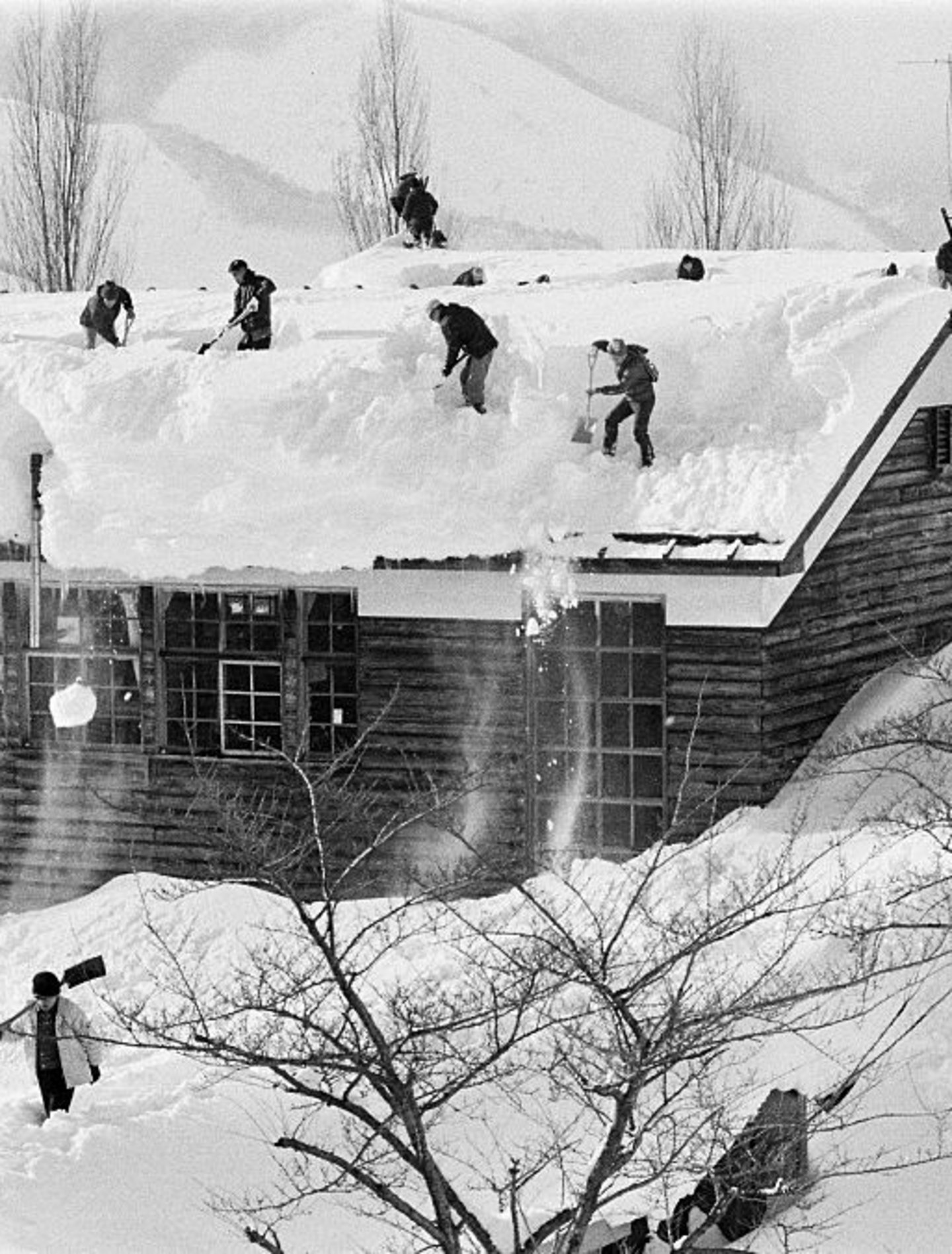 GettyImages-2222193131